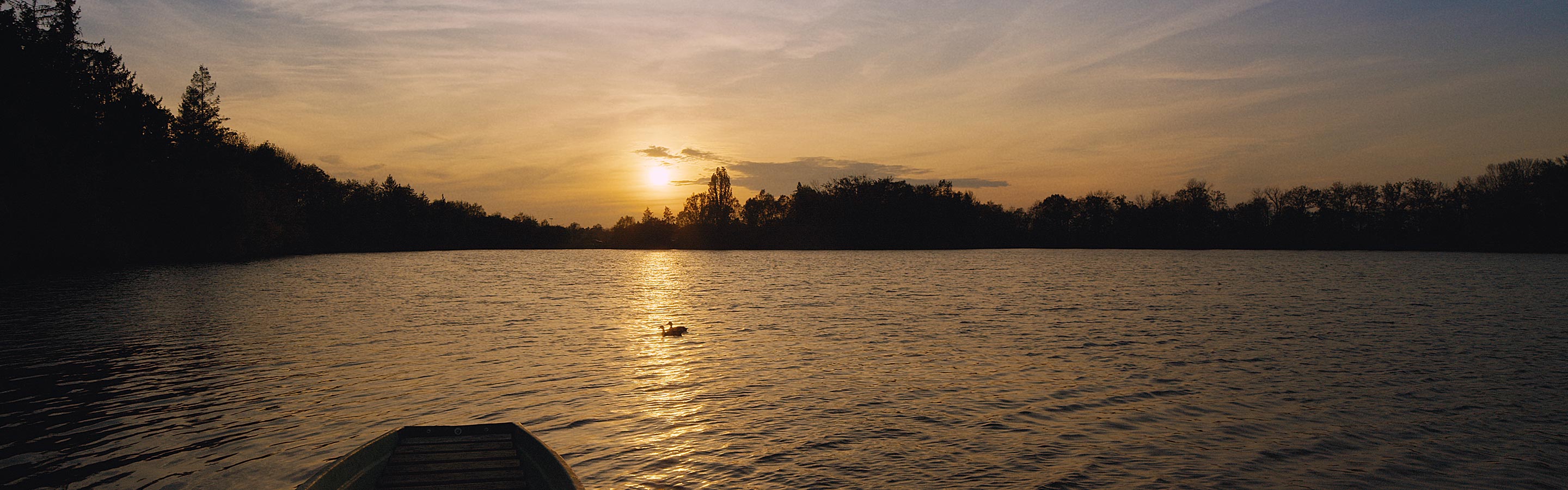 The Legacy of the Dolní Měcholupy Patriots